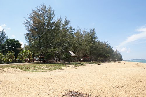 Hutan Pantai